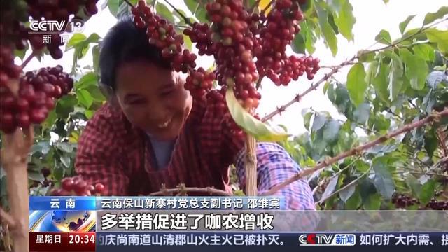 海外去！云咖植入了中国“芯”不朽情缘首页从海外来却能舶回(图3)