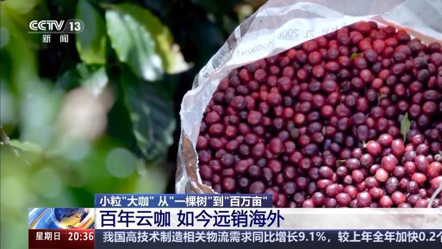 海外去！云咖植入了中国“芯”不朽情缘首页从海外来却能舶回(图5)