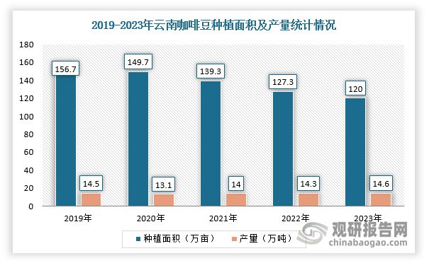 资趋势分析报告（2025-2032年）不朽情缘中国咖啡豆行业现状深度研究与投(图1)