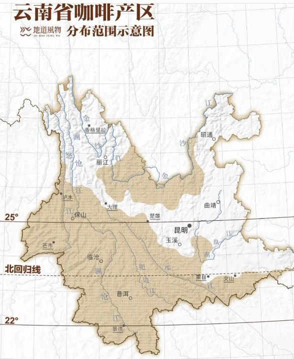 啡：彩云之南的馥郁传奇不朽情缘电子游戏云南咖(图12)