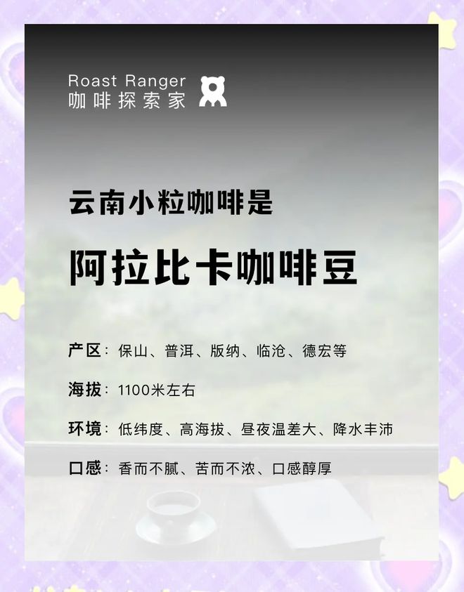 啡：彩云之南的馥郁传奇不朽情缘电子游戏云南咖(图13)