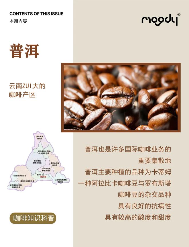 啡：彩云之南的馥郁传奇不朽情缘电子游戏云南咖(图4)