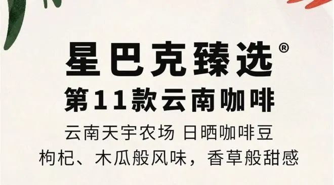 啡：彩云之南的馥郁传奇不朽情缘电子游戏云南咖(图6)